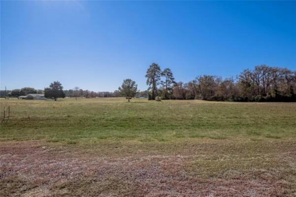 LOT 7 NEW ORLEANS AVENUE, TRINITY, TX 75862, photo 4 of 22