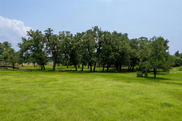 TBD THORNBERRY DRIVE, SOMERVILLE, TX 77879, photo 4 of 6