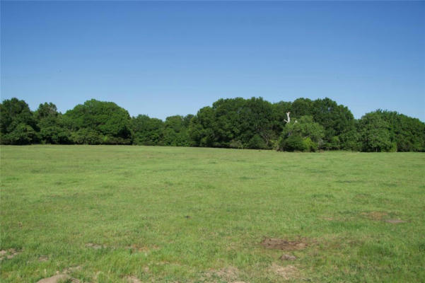 TBD TRACT 10 ST DELIGHT ROAD, PAIGE, TX 78659, photo 3 of 8
