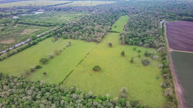 0 COUNTY ROAD 647 OFF PVT ROAD, GUY, TX 77444, photo 3 of 18