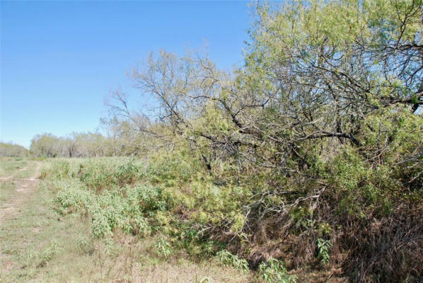 TRACT 4 MAYNARD HALLMARK ROAD, WAELDER, TX 78959, photo 5 of 8