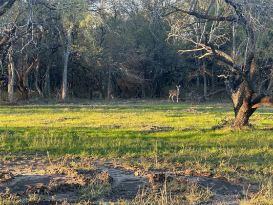 LOT 26 GRISON CIRCLE, CORSICANA, TX 75109, photo 4 of 6