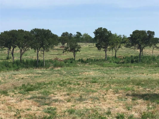 LOT 47 CHAMBERS BAY, CORSICANA, TX 75109, photo 5 of 16