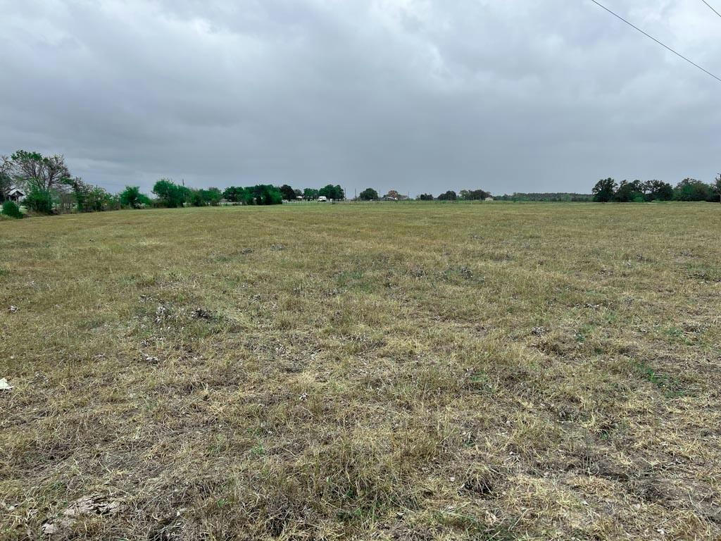TRACT #2 FM 2562 ROAD, RICHARDS, TX 77873, photo 1 of 33
