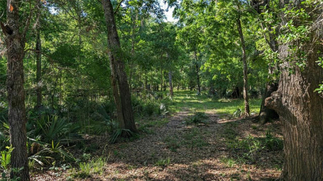 0000 SAWMILL ROAD, NEEDVILLE, TX 77461, photo 2 of 6