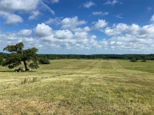 98.88 +/- ACRES W SIDE OF I-45, CENTERVILLE, TX 75833, photo 3 of 50