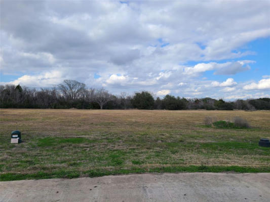 20 CATTLE DRIVE DRIVE, BAY CITY, TX 77414 - Image 1
