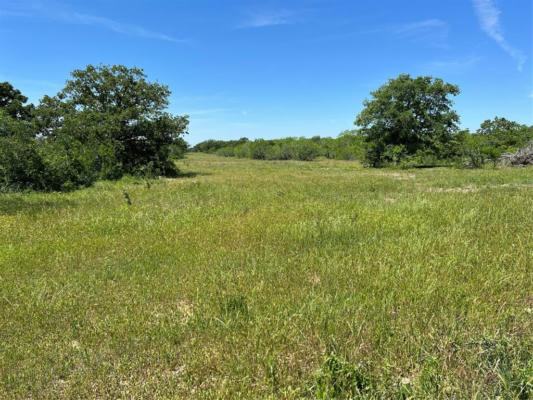 TRACT 4 CR 482, GONZALES, TX 78629, photo 2 of 16