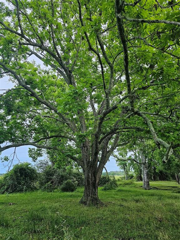 0 RAB COURT, LOT 2, ANGLETON, TX 77515, photo 1 of 6