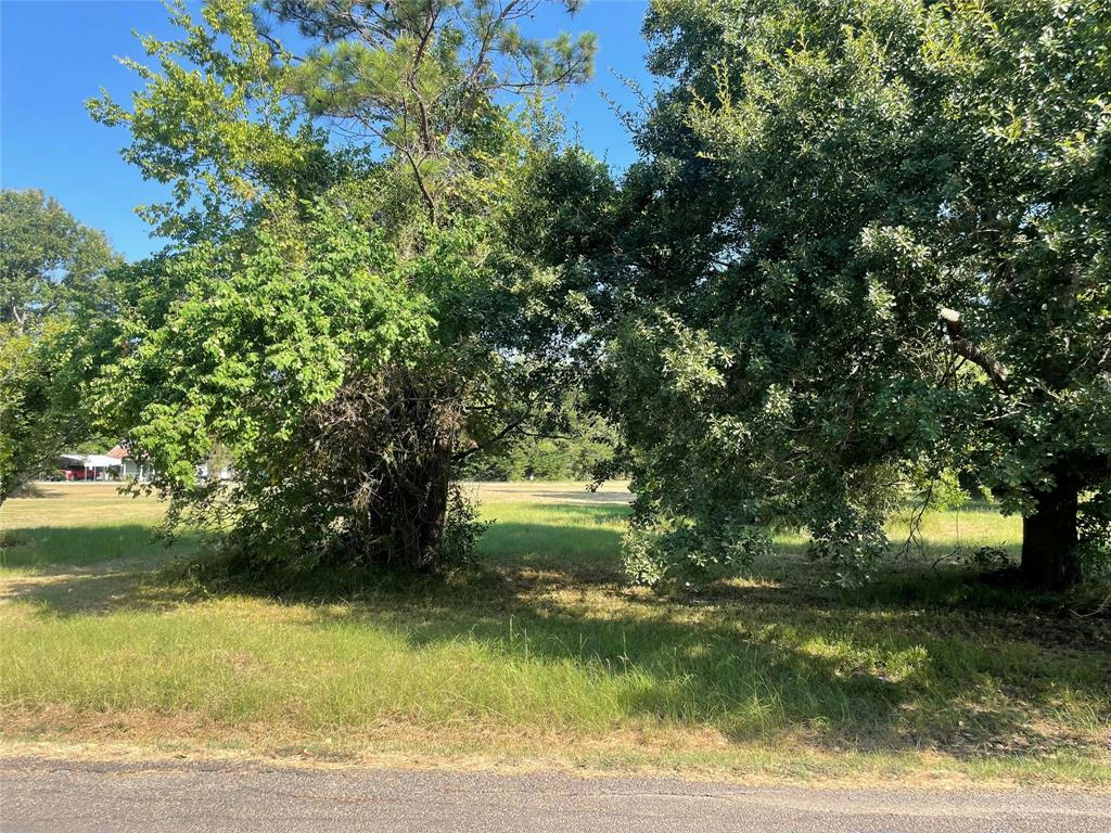 TBD HIGH CREST DRIVE, POINT BLANK, TX 77364, photo 1 of 7