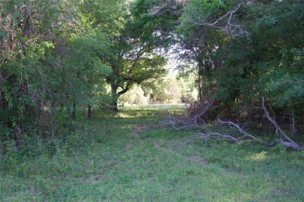 TBD TRACT 7 ST DELIGHT ROAD, PAIGE, TX 78659, photo 4 of 12