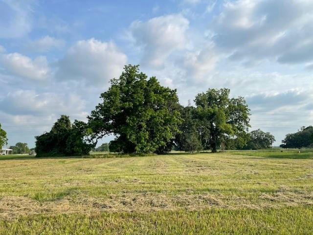 178 HORSE SHOE TRL, ANGLETON, TX 77515, photo 1 of 11