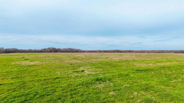 LOT 29 GRISON CIRCLE, CORSICANA, TX 75109, photo 3 of 6