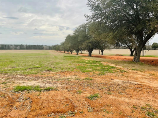 TBD LAKELAND RANCH LOT 104, HILLISTER, TX 77624, photo 3 of 8