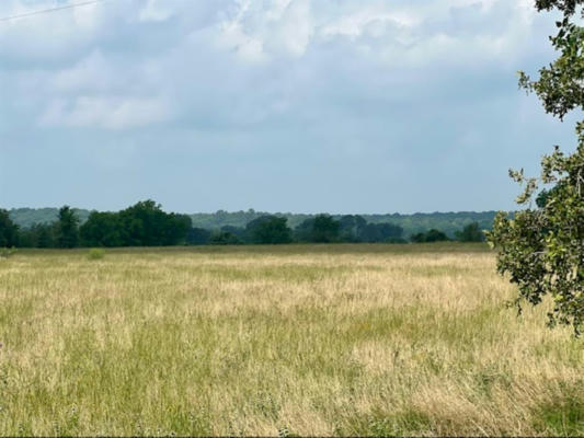 38 ACRES SHAWS BEND RD, COLUMBUS, TX 78934, photo 2 of 15