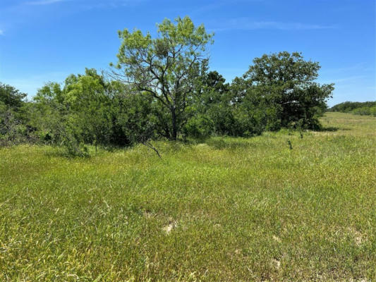 TRACT 4 CR 482, GONZALES, TX 78629, photo 4 of 16