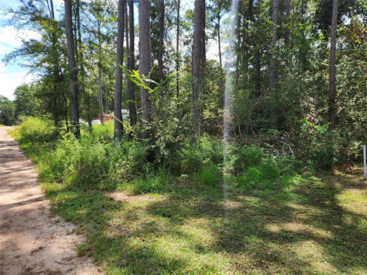 LOT 7 CORAL BEAN LANE, PLANTERSVILLE, TX 77363 - Image 1