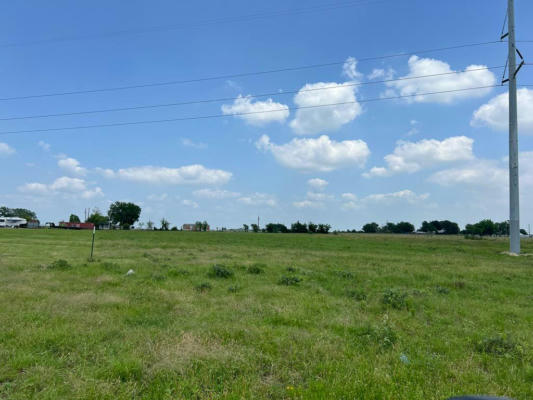 TRACT #4 FM 2562 ROAD, RICHARDS, TX 77873, photo 4 of 15