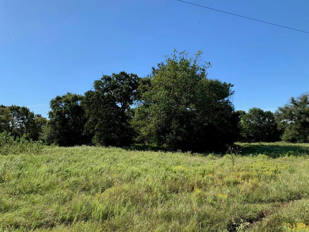 133 AC FM 39, NORMANGEE, TX 77871, photo 1 of 20