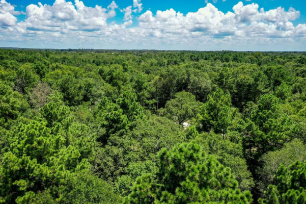 20.02 ACRES RANCHES AT LONE STAR RIDGE, LOVELADY, TX 75851, photo 5 of 20