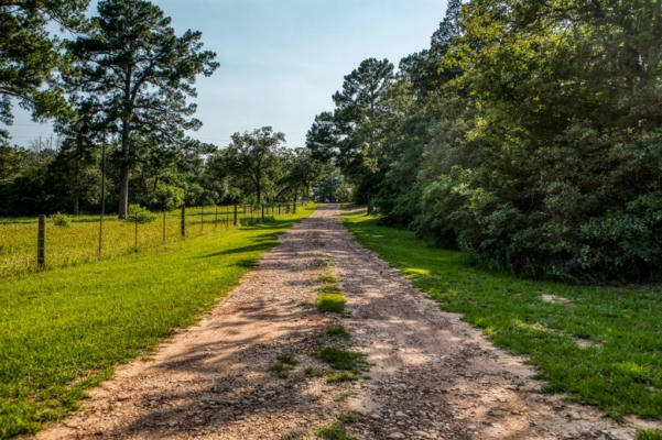 TBD (15.682 ACRES) STOCKADE RANCH ROAD, PAIGE, TX 78659, photo 2 of 37