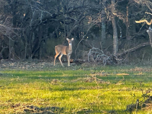 LOT 7 GRISON CIRCLE, CORSICANA, TX 75109, photo 3 of 6