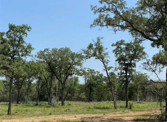 TBD HIGH CROSSING ROAD - TRACT 9, SMITHVILLE, TX 78957, photo 5 of 11