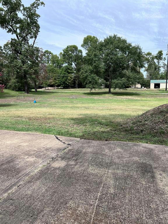 261 LAUREL, ONALASKA, TX 77360, photo 1 of 34