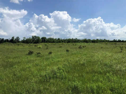 TBD COUNTY ROAD 182, RAYWOOD, TX 77582 - Image 1