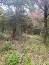 LOT 143 SEC 2 COMMANCHE RD, SMITHVILLE, TX 78957, photo 4 of 5