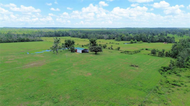 850 DUE TWO RD, APPLE SPRINGS, TX 75926 - Image 1