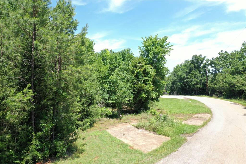 000 COUNTY ROAD 2101, PALESTINE, TX 75801, photo 1 of 25