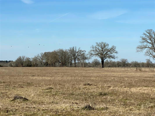 15 ACRES LOT 14, HWY 30, BEDIAS, TX 77831, photo 4 of 22