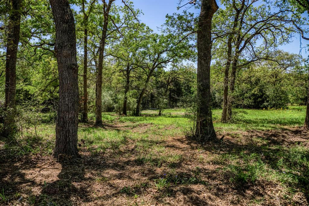 TBD (25.43 ACRES) COUNTY ROAD 436, DIME BOX, TX 77853, photo 1 of 26