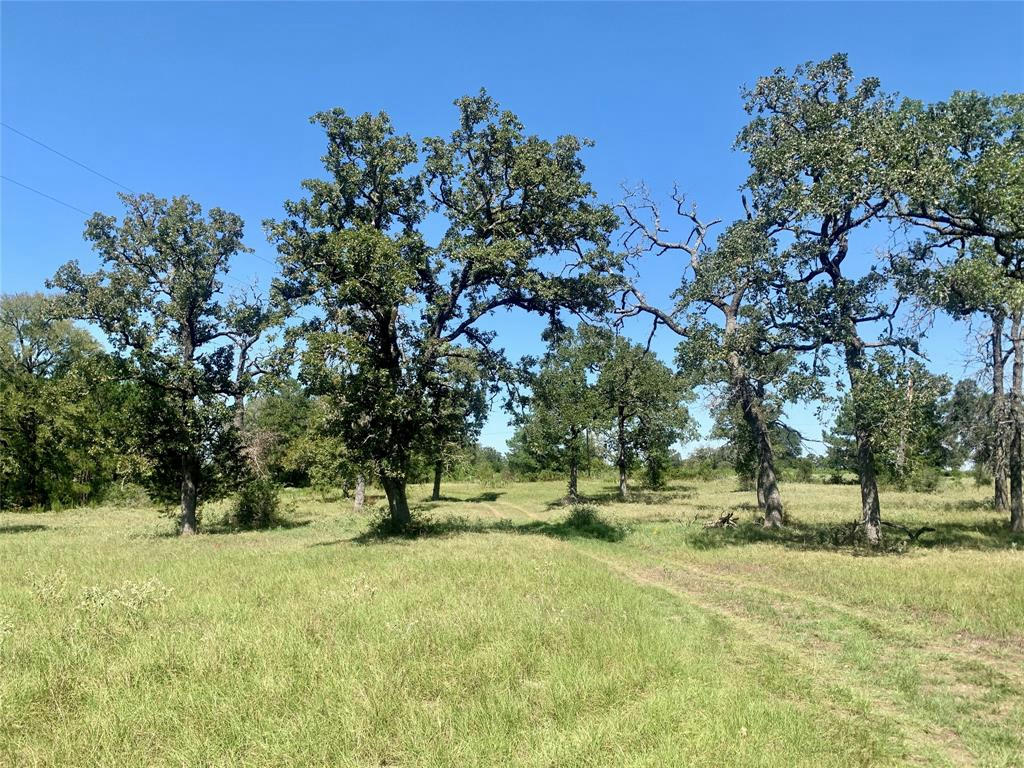 000 COUNTY ROAD 137, BEDIAS, TX 77831, photo 1 of 27