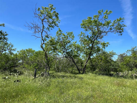 TRACT 3 CR 482, GONZALES, TX 78629, photo 4 of 18
