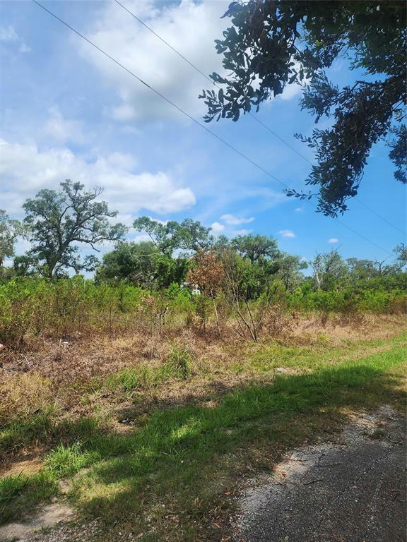 0 COUNTY RD 506, BRAZORIA, TX 77422, photo 1 of 6