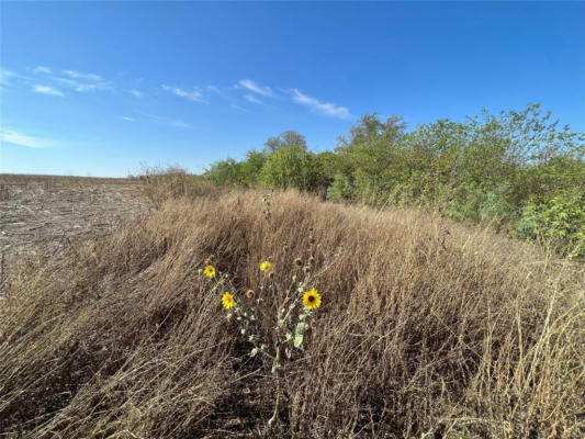 005 HCR 4255, ITASCA, TX 76055, photo 2 of 3