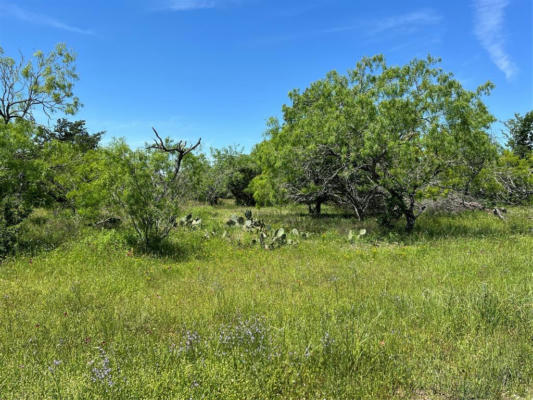 TRACT 3 CR 482, GONZALES, TX 78629, photo 2 of 18