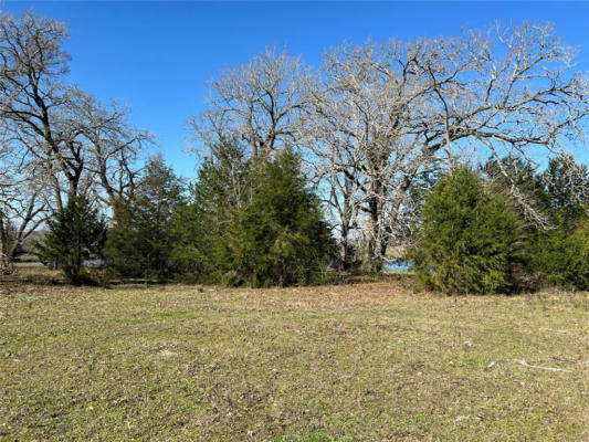TBD MORIARITY ROAD, RICHARDS, TX 77873, photo 4 of 50
