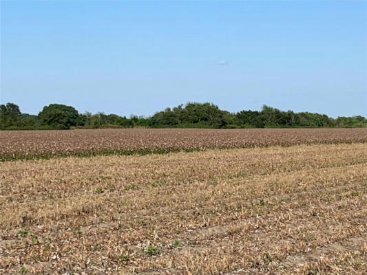 00 COUNTY RD 356, LOUISE, TX 77455, photo 2 of 9