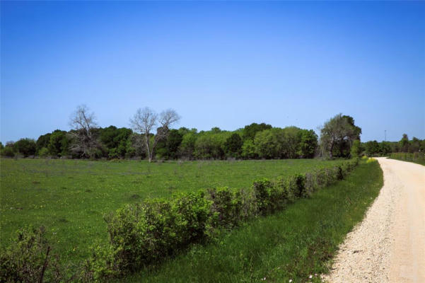 TRACT 4B CANEY CREEK ROAD, CHAPPELL HILL, TX 77426, photo 2 of 19