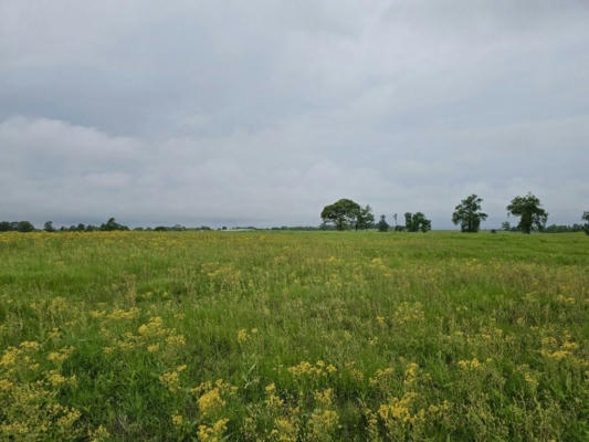 LOT 31 FM 2712, CROCKETT, TX 75835, photo 2 of 8