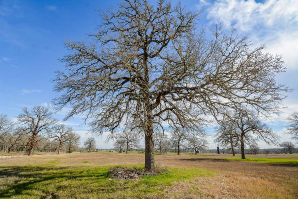 8234 COUNTY ROAD 201 - CR 201, SOMERVILLE, TX 77879, photo 2 of 33