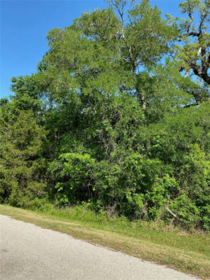 0 COUNTY ROAD 281 RAMBLEWOOD ROAD, SARGENT, TX 77414, photo 2 of 8