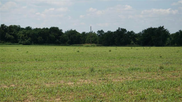 806 COUNTY ROAD 328, CALDWELL, TX 77836, photo 4 of 9