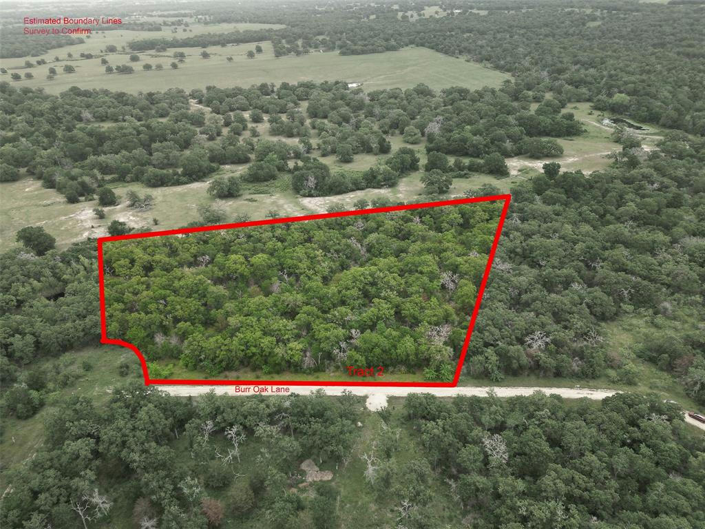 TRACT 2 BURR OAK LN, SNOOK, TX 77868, photo 1 of 6