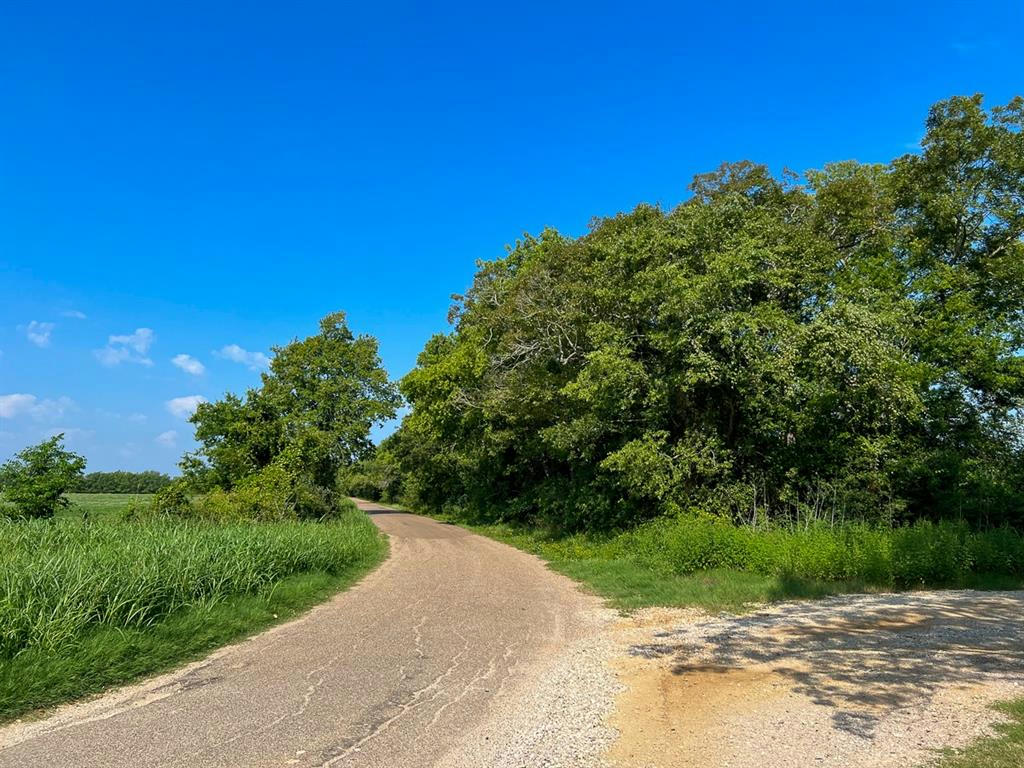 0 COUNTY ROAD 328, CALDWELL, TX 77836, photo 1 of 19