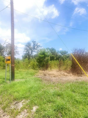 0 COUNTY RD 506, BRAZORIA, TX 77422, photo 3 of 6