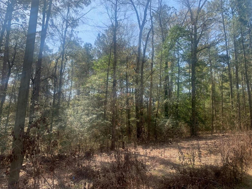 0 CANOOT TRAIL, LIVINGSTON, TX 77351, photo 1 of 4
